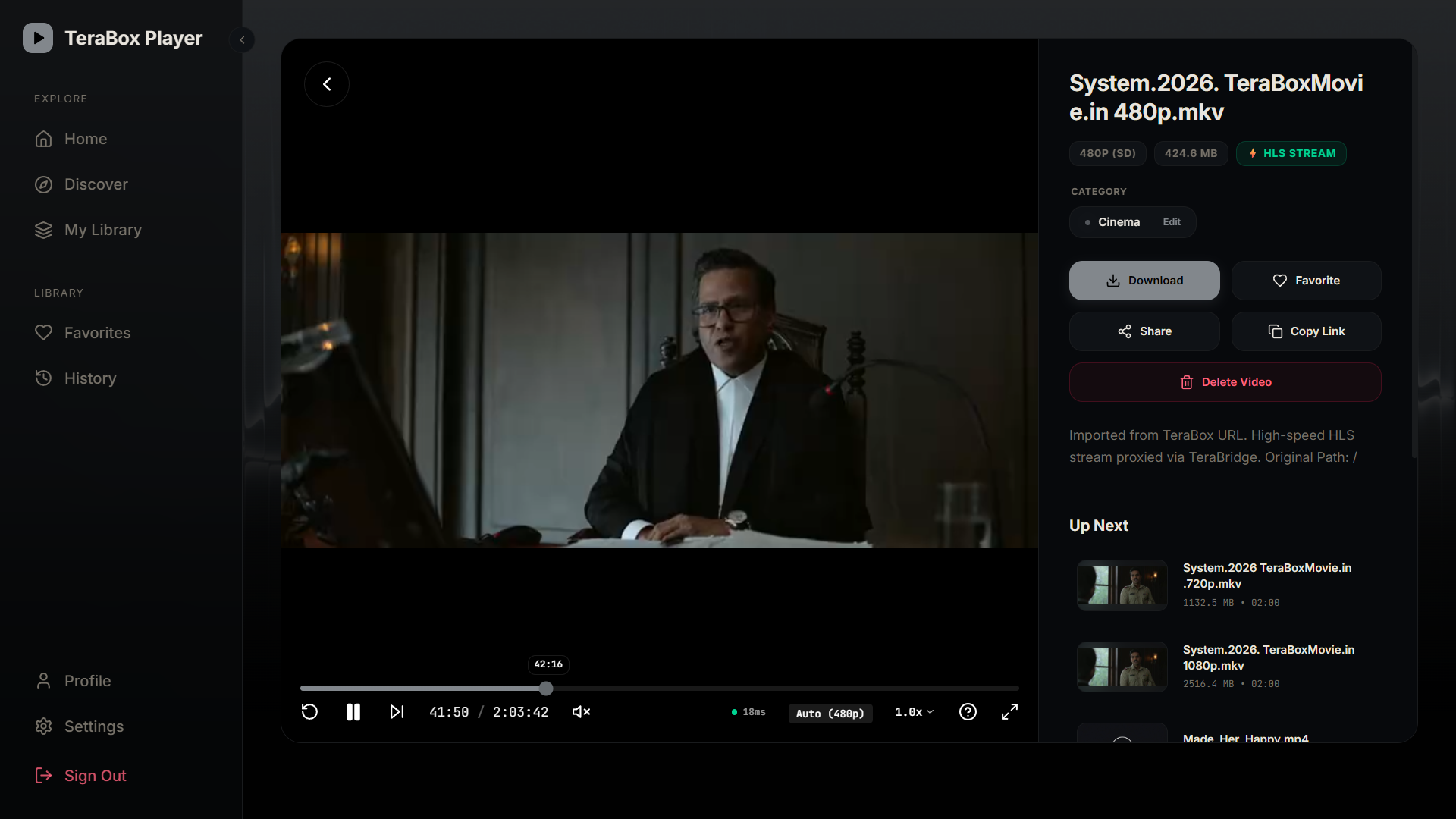 TeraPlay player interface playing a video